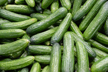 fresh cucumbers for sale at farmers market