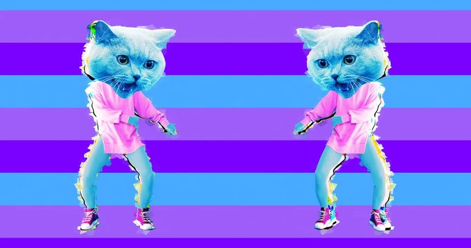 Minimal motion art. Funny dancing Cat in colours background