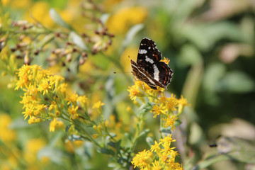 In a park (France)