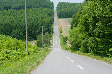 まっすぐに続く田舎の道路