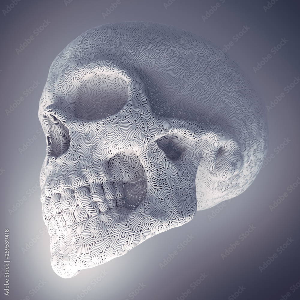 Aufkleber Computer generated abstract white plastic wire skull surrounded by light mist. Geometric modern pattern. 3d rendering