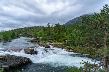 Naklejka na ściany i meble Creek with flowing water in the Norwegian mountains