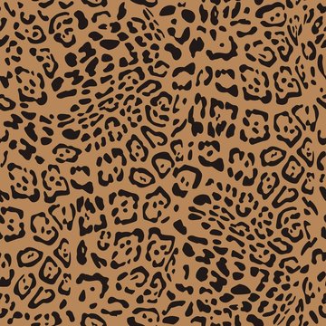 Leopard seamless pattern. Exotic wild animal skin. Brown skin of Cheetah, leopard, tiger. Fashionable, elegant, rich Animal abstract texture. print background, fabric. vector illustration. 