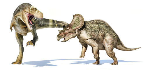 T-rex dinosaur attacking a triceratops. © Pixelchaos