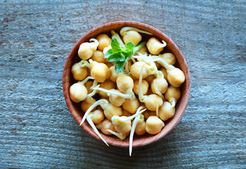 Sprouted grains of chickpea lie in a round plate. A healthy lifestyle offers the use of cereal sprouts. 