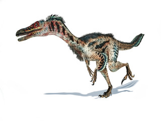 Velociraptor dinosaur with feathers 3d rendering.