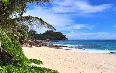Naklejka na ściany i meble Beautiful white beaches on the paradise islands Seychelles fotographed on a sunny day