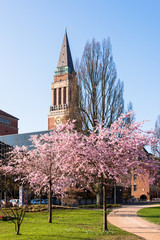 Kiel Innenstadt im Morgenlicht Hiroshimapark mit Kleinem Kiel, Rathaus  und Opernhaus am Rathausplatz, der Frühling hält Einzug