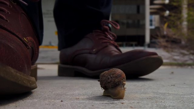 A snail on the sidewalk in the middle of a city almost getting squished. One set of shoes walk by and stop right in front of the snail and then continues walking.