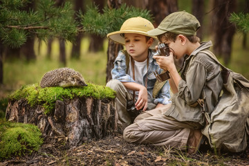 Meeting children and the hedgehog in the forest © Alexandr Vasilyev