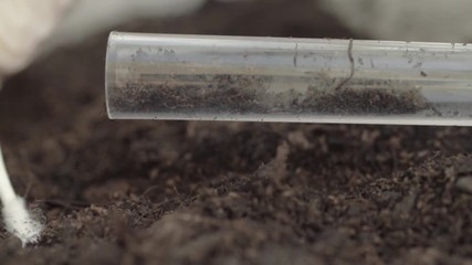 Using a test tube to collect soil sample