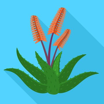 Aloe vera flower icon. Flat illustration of aloe vera flower vector icon for web design