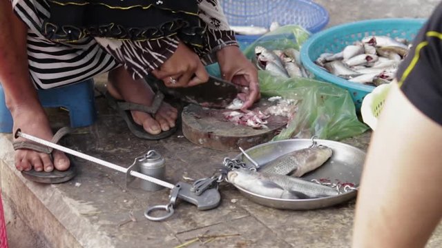 Khmer lady cuts up and cleans freshly caught fish at Sisowath Quay, Phnom Penh