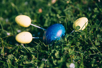 Close up of a colorful Easter eggs on a green grass.