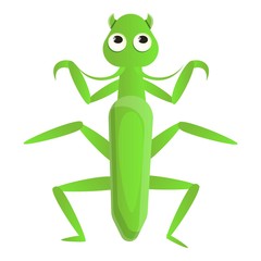 Female mantis icon. Cartoon of female mantis vector icon for web design isolated on white background