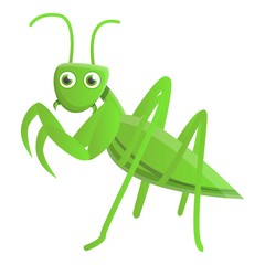 Wild mantis icon. Cartoon of wild mantis vector icon for web design isolated on white background