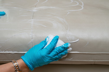 lady cleaning leather sofa with soapy sponge