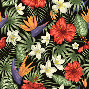 Vector seamless pattern of green tropical leaves with plumeria, strelitzia and hibiscus flowers on black background. Summer or spring repeat tropical backdrop. Exotic jungle ornament.