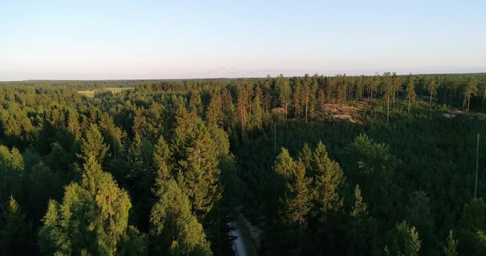 Aerial, drone shot, over a sand road, surrounded by pine tree trees, scandinavian forest and woodlands, at golden hour, on a sunny, summer evening, in Uusimaa, Finland