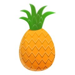 Healthy eco pineapple icon. Cartoon of healthy eco pineapple vector icon for web design isolated on white background