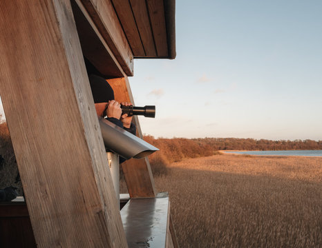 Male ornithologist wild life photographer photographing birds and animals with a telephoto lens from a wooden bird watching tower in the golden hour at sunset