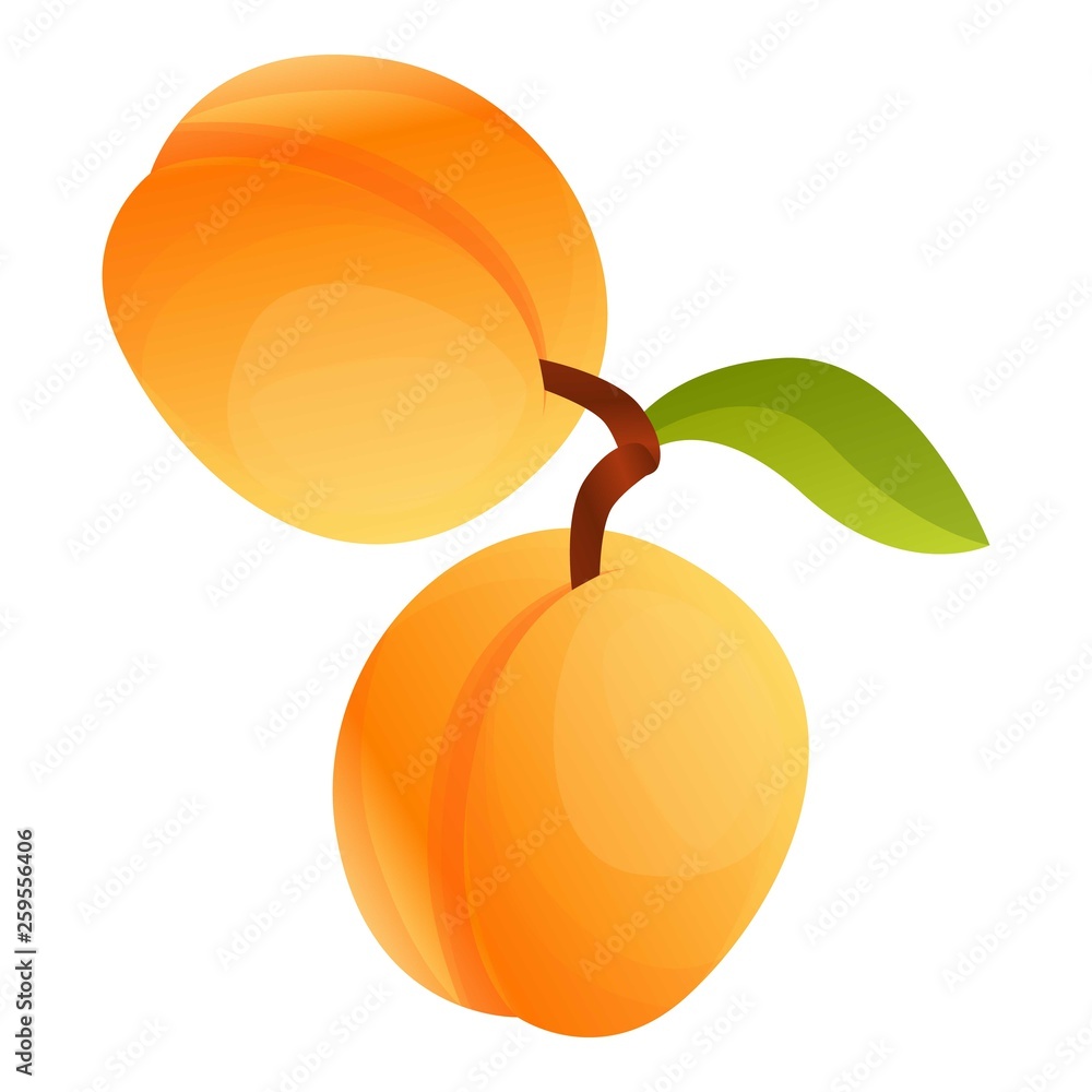 Aufkleber apricot on branch icon. cartoon of apricot on branch vector icon for web design isolated on white ba