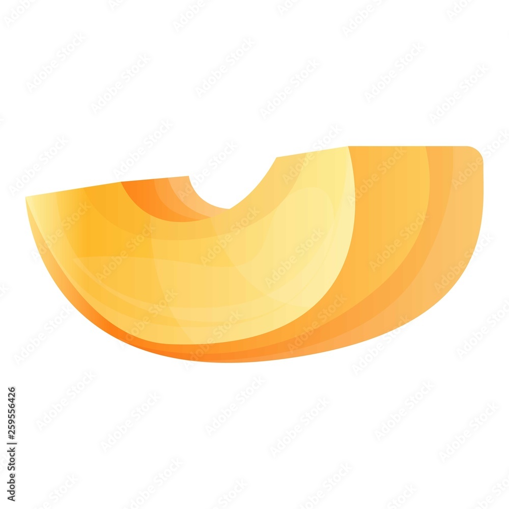 Poster apricot slice icon. cartoon of apricot slice vector icon for web design isolated on white background