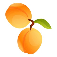 Apricot on branch icon. Cartoon of apricot on branch vector icon for web design isolated on white background