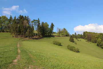 Fototapeta premium Wurmbach - Ternberg - Austria