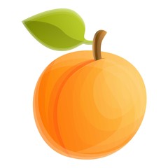 Garden tree apricot icon. Cartoon of garden tree apricot vector icon for web design isolated on white background