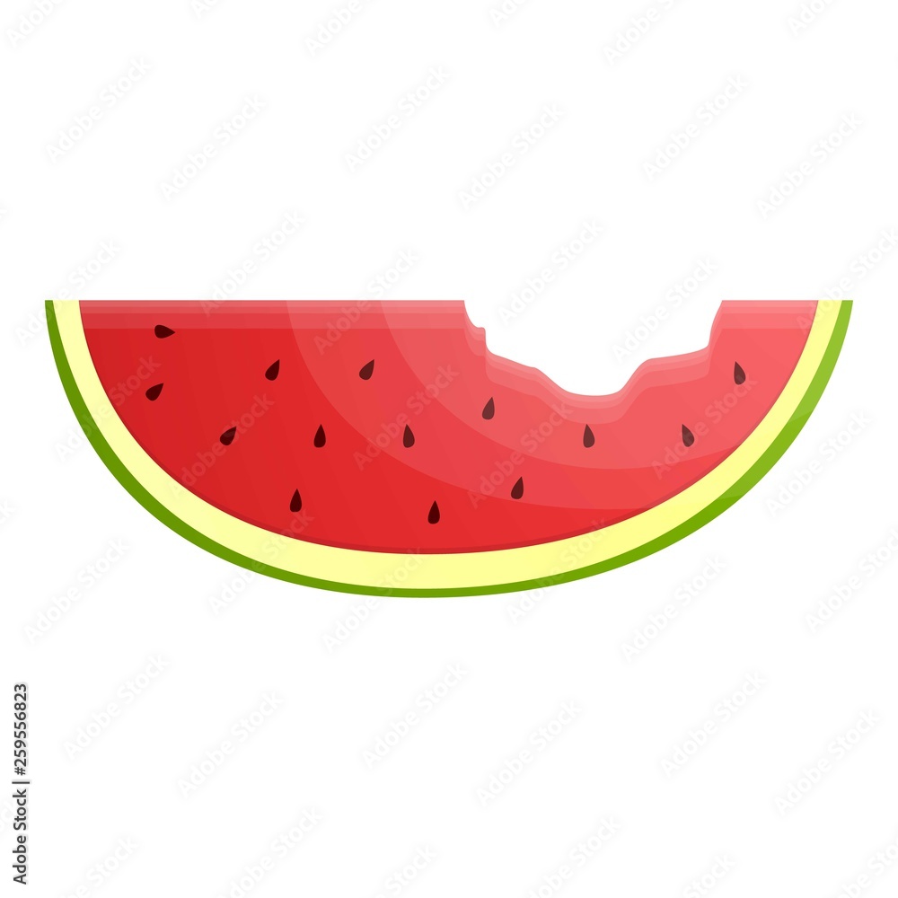 Poster bit watermelon slice icon. cartoon of bit watermelon slice vector icon for web design isolated on wh