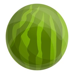 Whole watermelon icon. Cartoon of whole watermelon vector icon for web design isolated on white background