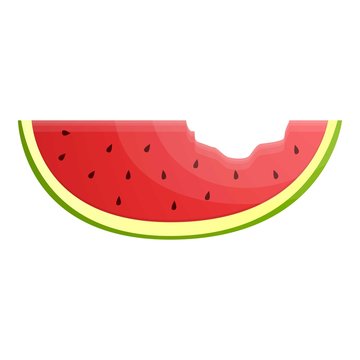 Bit watermelon slice icon. Cartoon of bit watermelon slice vector icon for web design isolated on white background