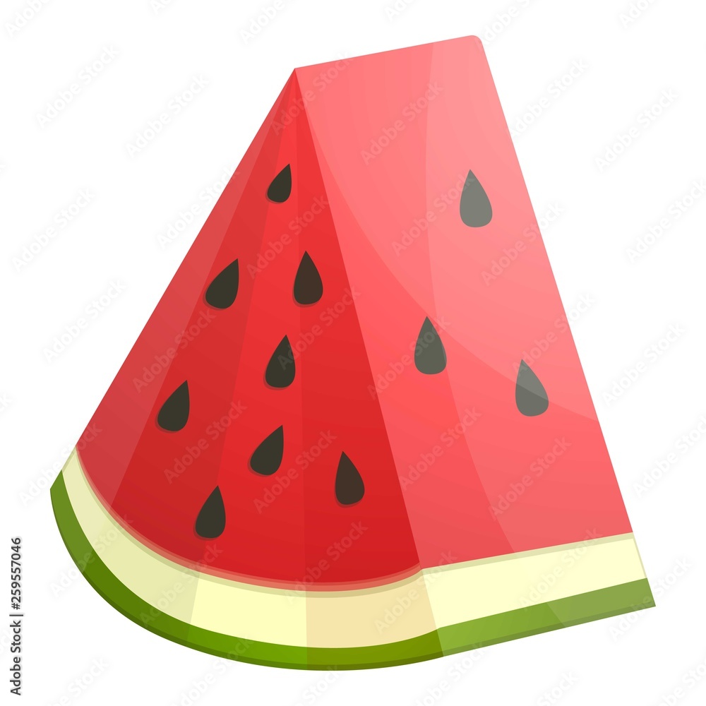 Poster triangular slice watermelon icon. cartoon of triangular slice watermelon vector icon for web design 