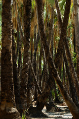 a beautiful view in namibia