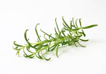 Fototapeta premium Fresh rosemary sprigs
