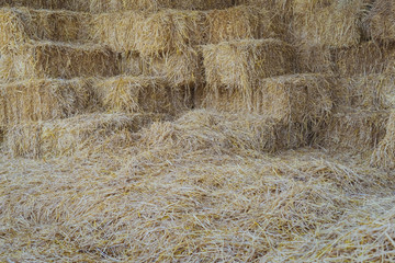 Bales of Straw in a shed for feeding horses