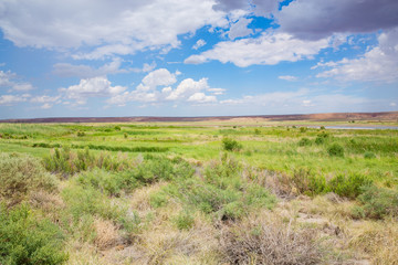Obraz premium Bitter Lake National Wildlife Refuge in New Mexico, USA