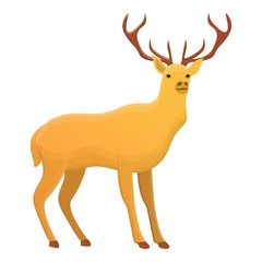 Forest deer icon. Cartoon of forest deer vector icon for web design isolated on white background