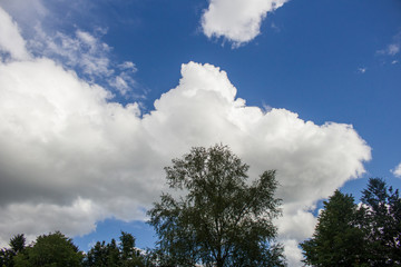 Clouds in the sky. White clouds. Beautiful background. Air. A natural phenomenon. Meteo conditions....