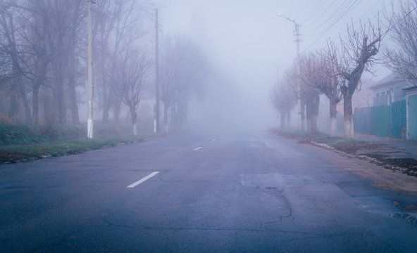 Autumn Foggy Morning In The City	