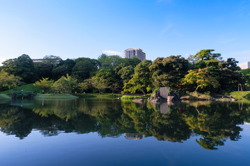 Fototapeta premium 小石川後楽園 大泉水