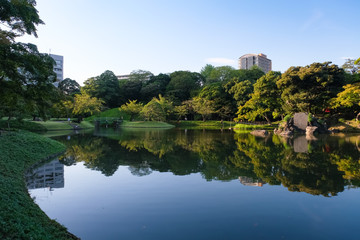 Fototapeta premium 小石川後楽園 大泉水