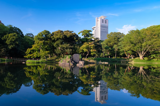 1,298 件の最適な 小石川後楽園 画像、ストック写真、ベクター  Adobe 