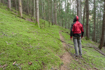 Obraz premium A trekker walking solo among the forest in a cloudy day
