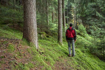 Fototapeta na wymiar A trekker walking solo among the forest in a cloudy day