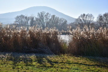 Dolan's pond Macha area