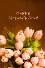 The bouquet of pink (coral) tulips on pastel background