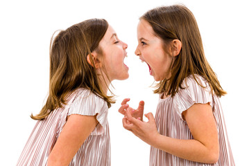 Identical twin girls sisters are arguing yelling at each other.