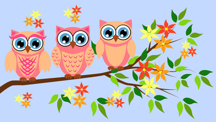 Cute girl owls. Baby showers, parties for baby girls.